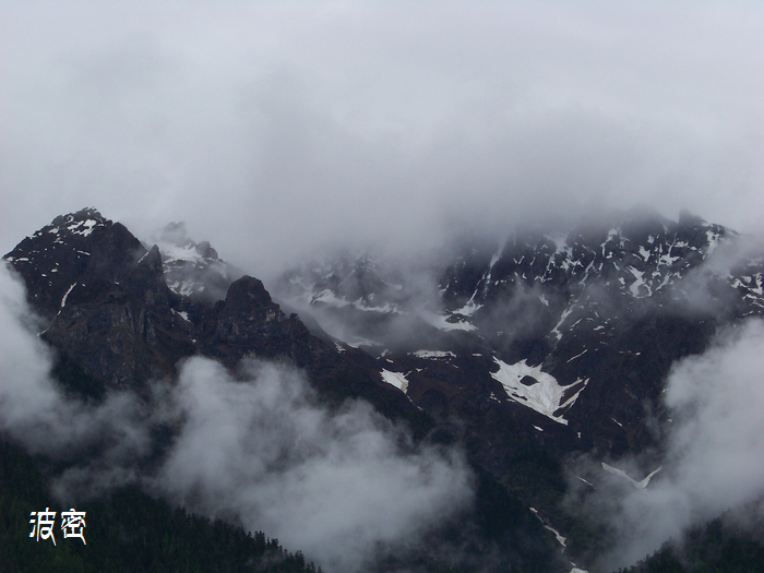 20110616f֥ (54).jpg