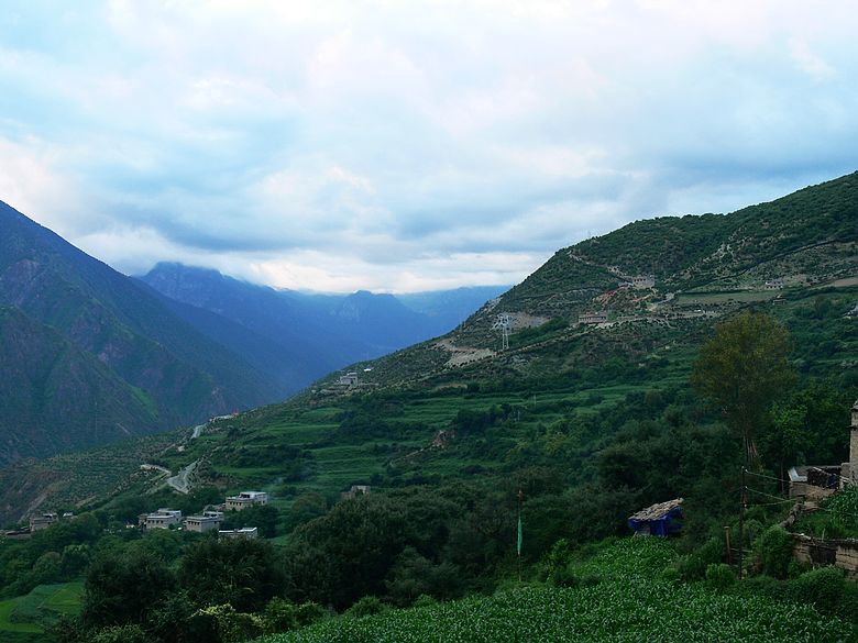 p1150739.jpg