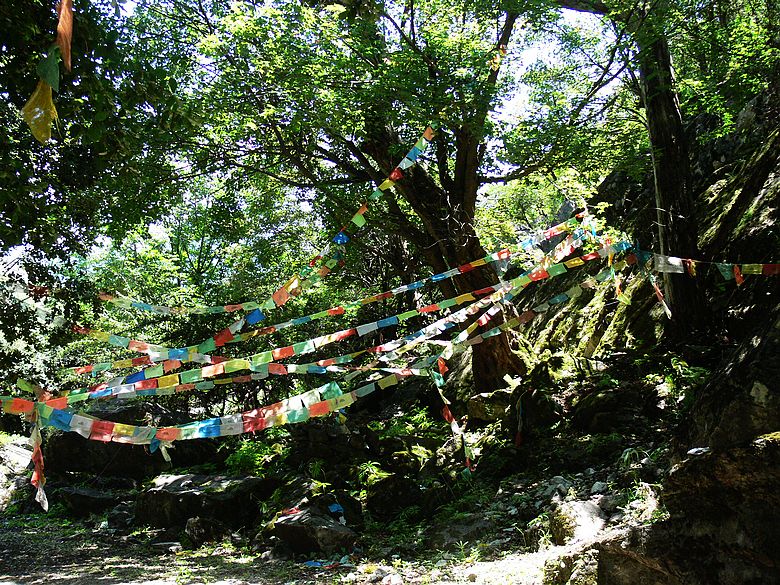 p1150775.jpg