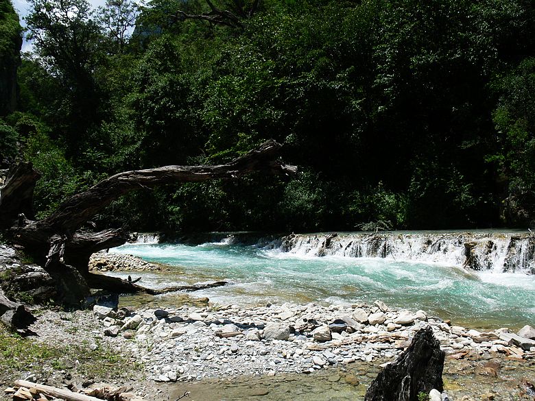 p1150777.jpg