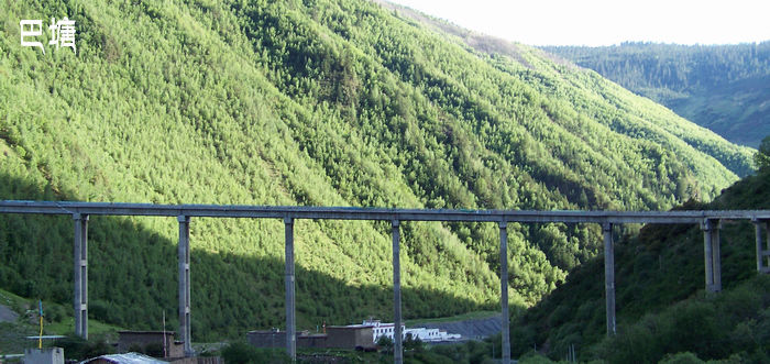 20110617pĴΰ (17).jpg