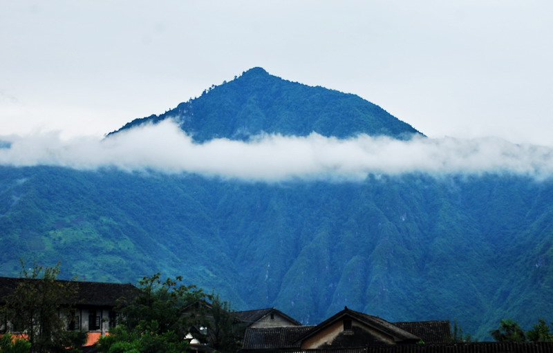 dsc_0450.jpg