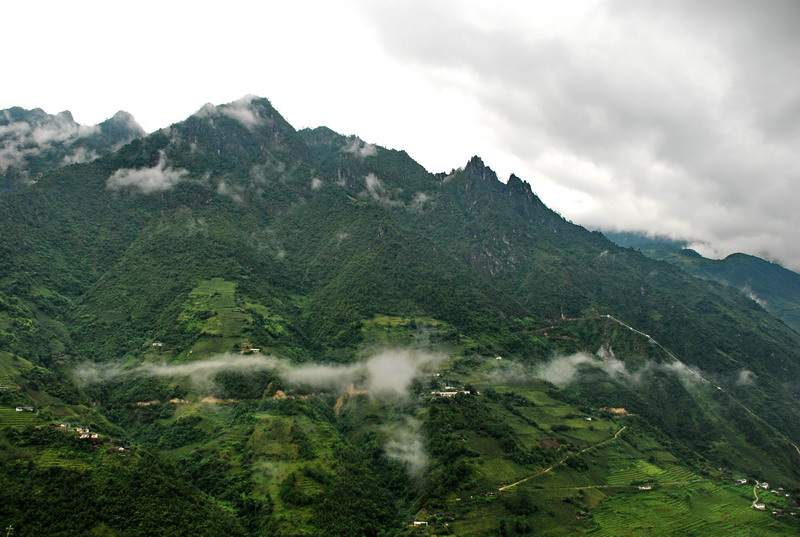 dsc_0524.jpg