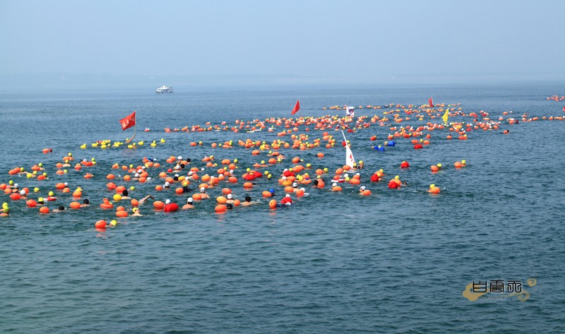 08.jpg