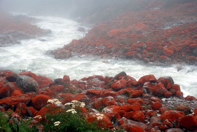 С dsc_0902.jpg