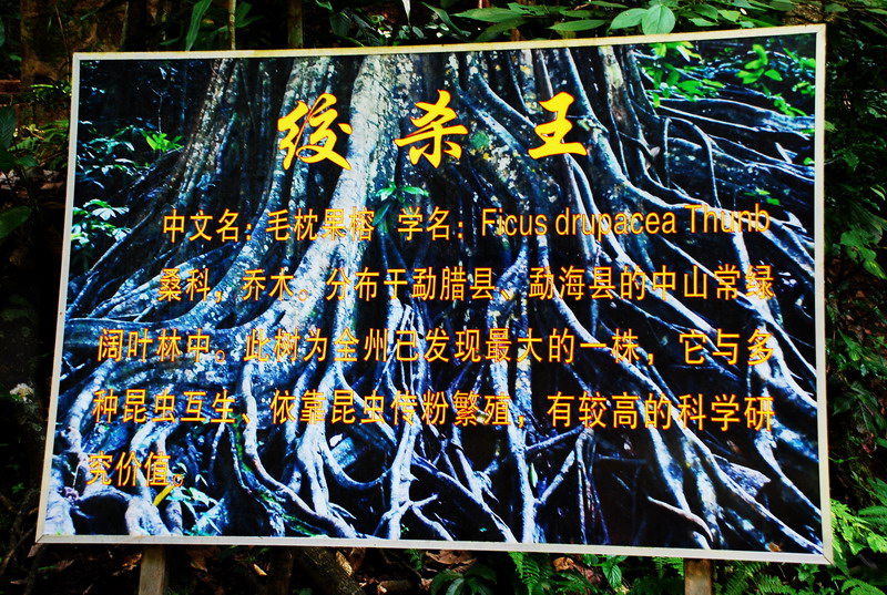 dsc_0908.jpg