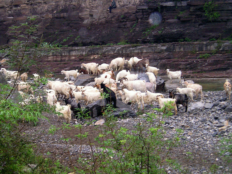 p1010019.jpg