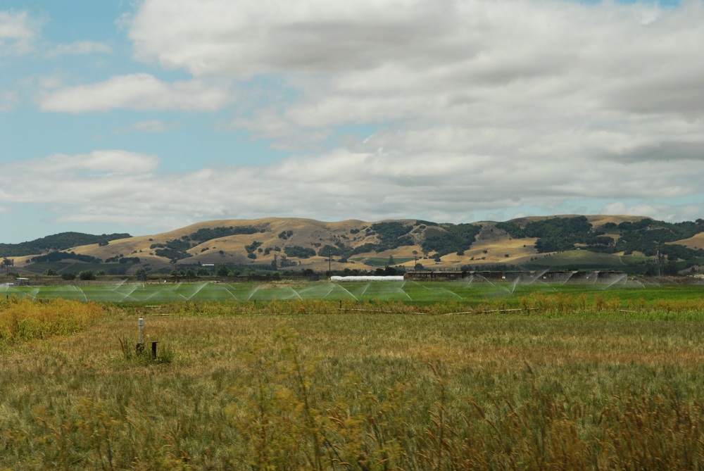 _dsc7556.jpg