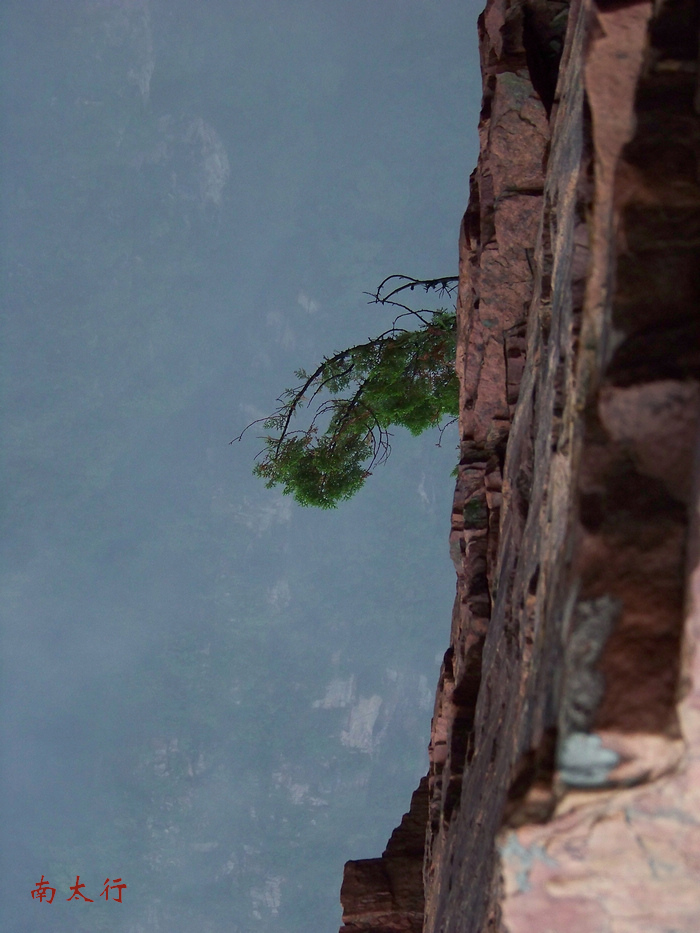 20110910eоɽ (33).jpg