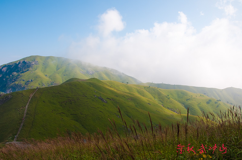 _dsc6510.jpg