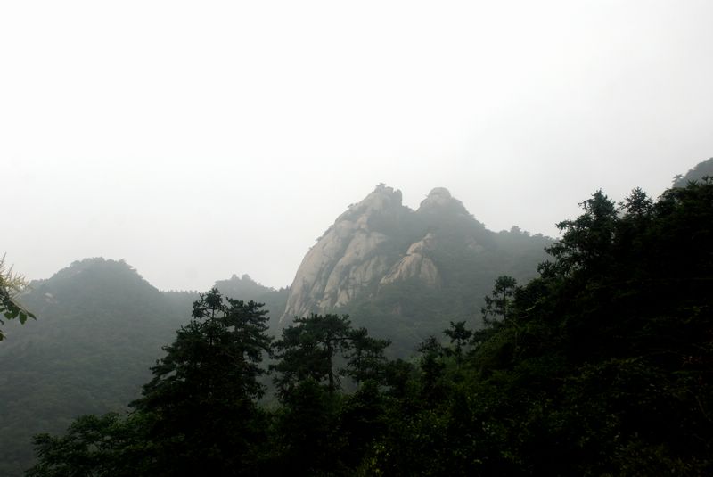 dsc_8095.jpg