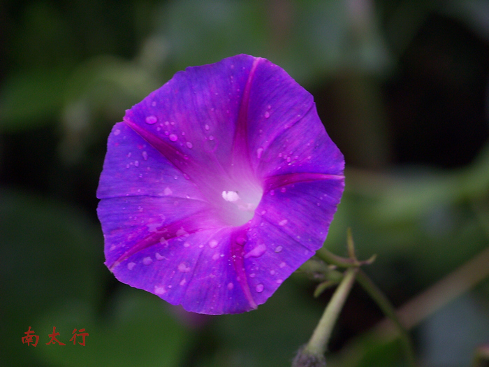 20110911aɽٴعŽ籨 (24).jpg