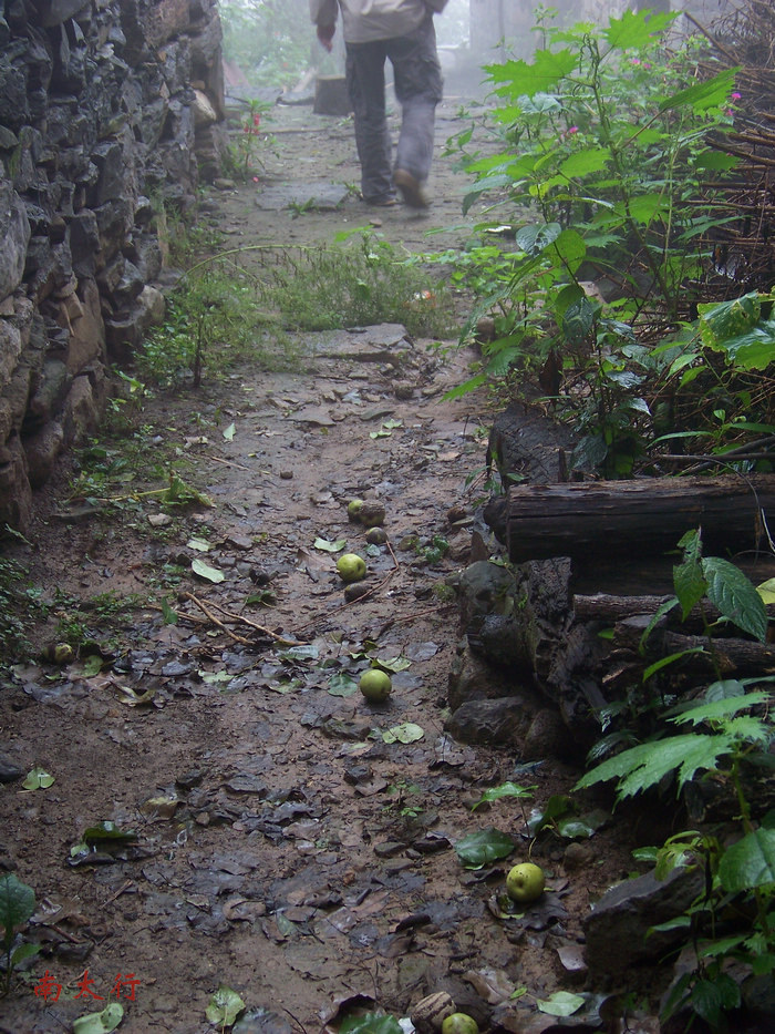 20110911aɽٴعŽ籨 (28).jpg