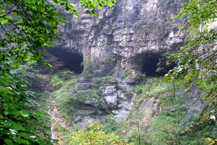 dsc00746.jpg