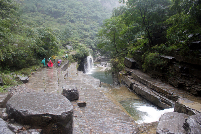 dsc00845.jpg