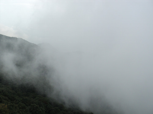 dsc06069_.jpg