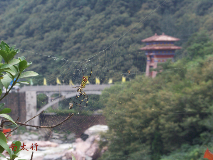 20110912rϻؾɽ (36)ɫ֩.jpg