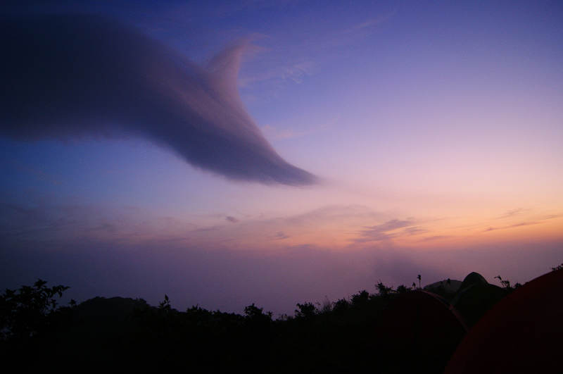 dsc09201.jpg