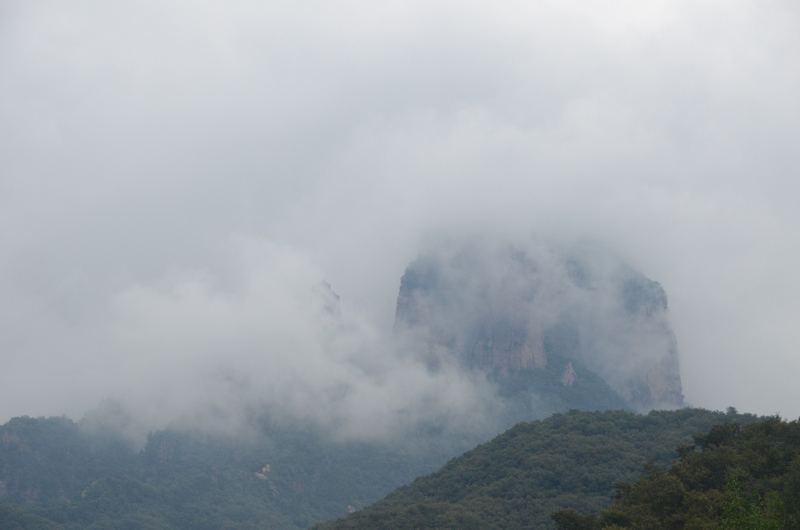 dsc_2323.jpg