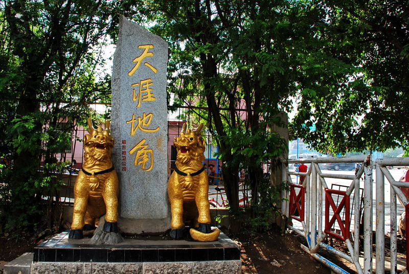 dsc_0120.jpg