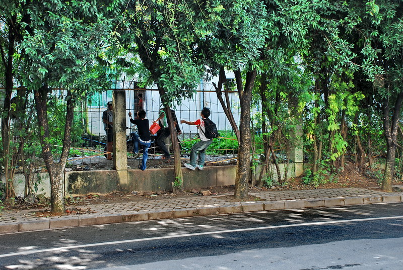 dsc_0134.jpg