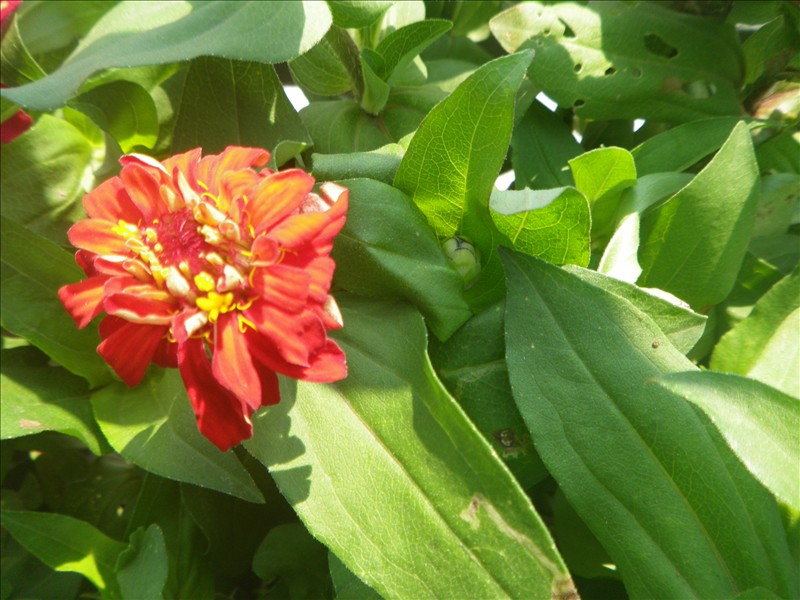 imgp1787.jpg