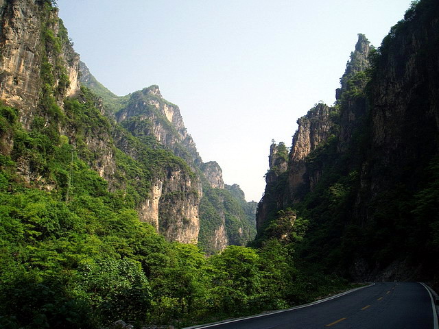 p1011231.jpg