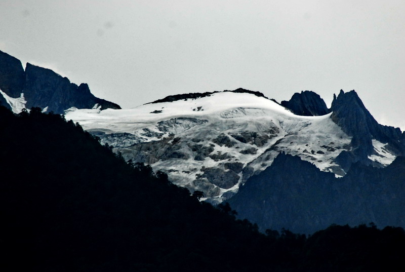 dsc_0375.jpg