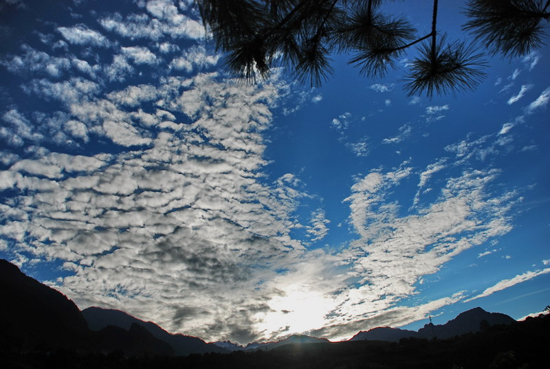 dsc_0452.jpg