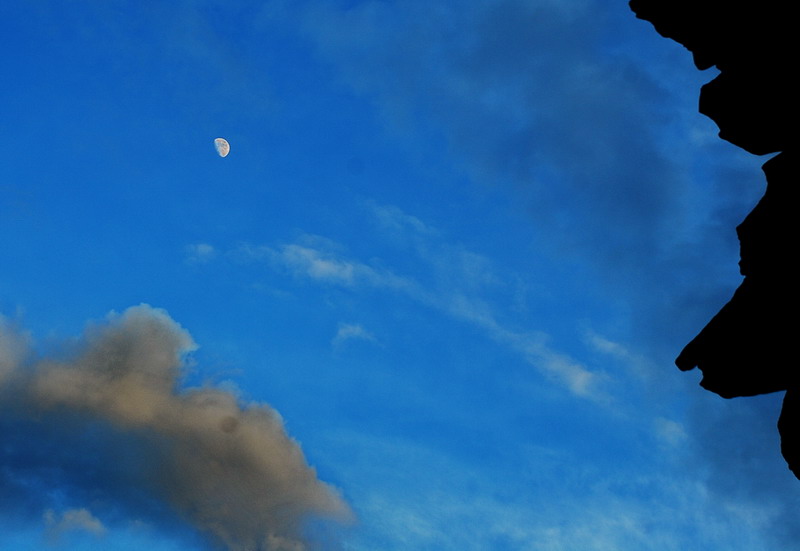 dsc_0530.jpg
