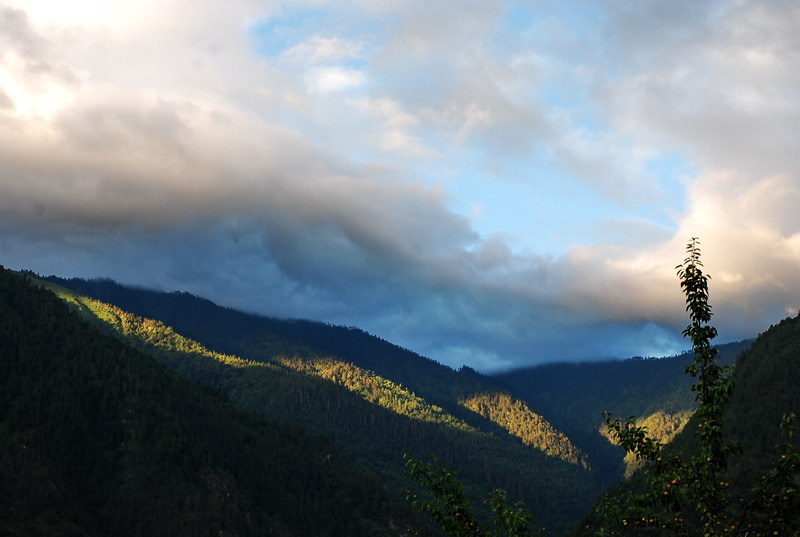 dsc_0534.jpg