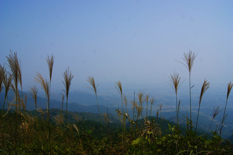 dsc09418.jpg