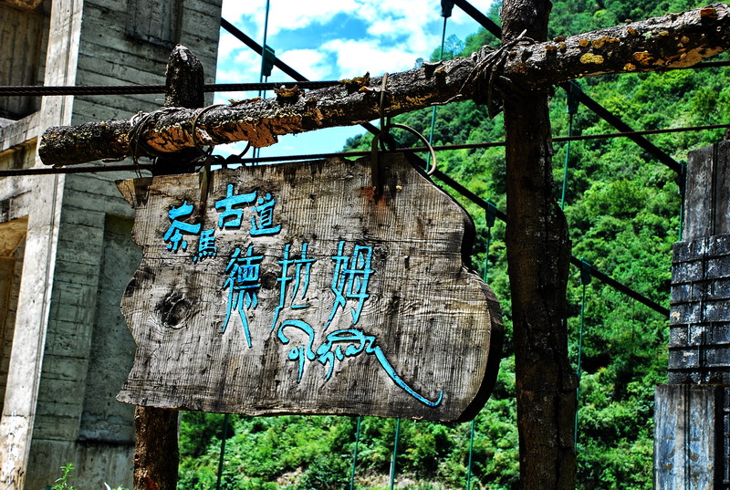 dsc_0134.jpg