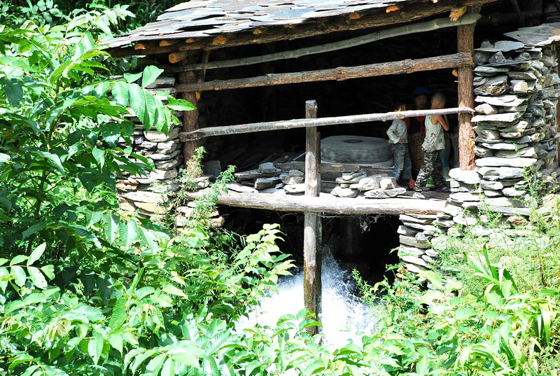 dsc_0202.jpg
