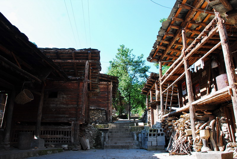 dsc_0256.jpg