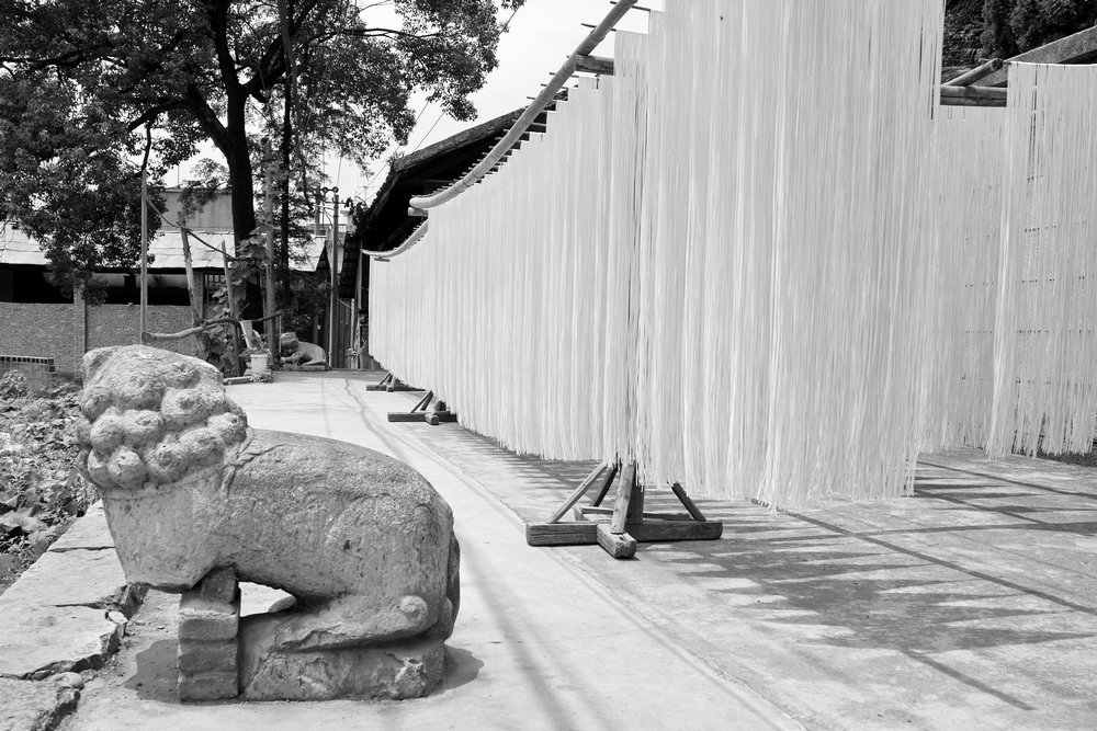 sdim0982.jpg