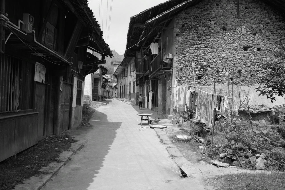 sdim1212.jpg