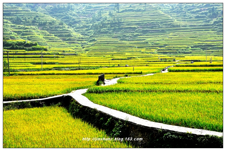neo_img_dsc_9872.jpg