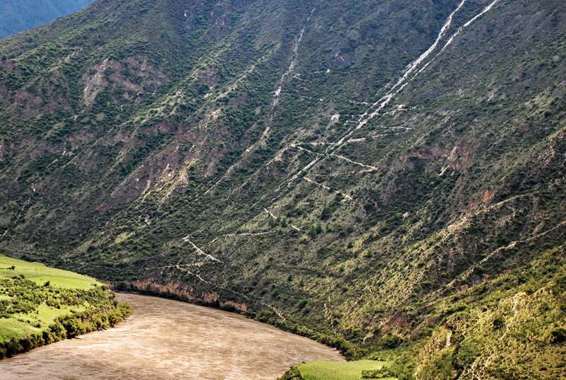dsc_0420.jpg