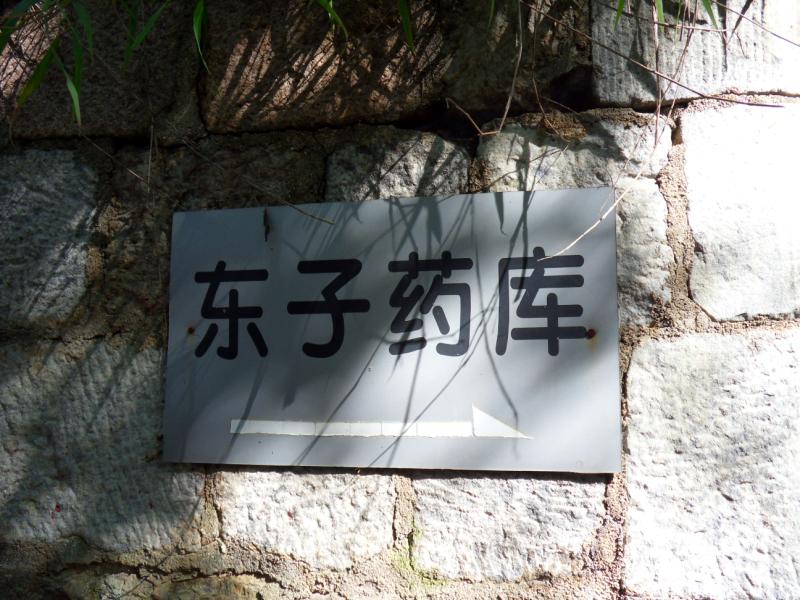 sdc10091.jpg