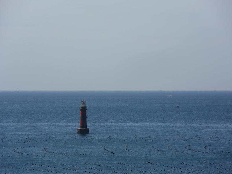 sdc10100.jpg