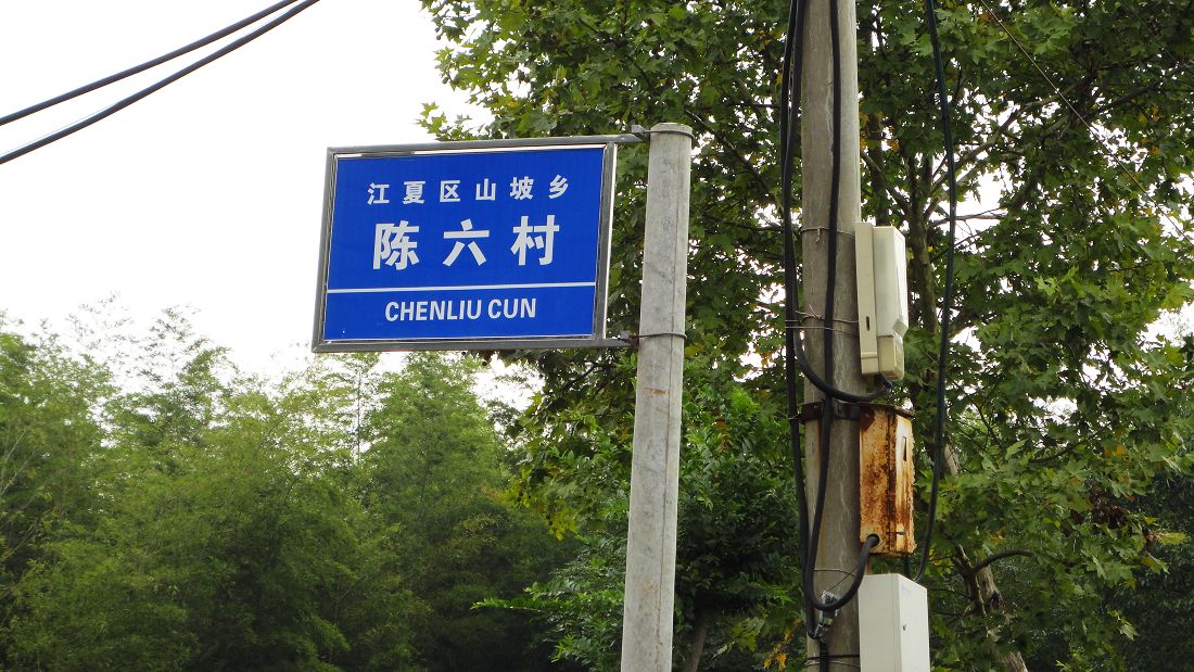 neo_img_dsc04711.jpg