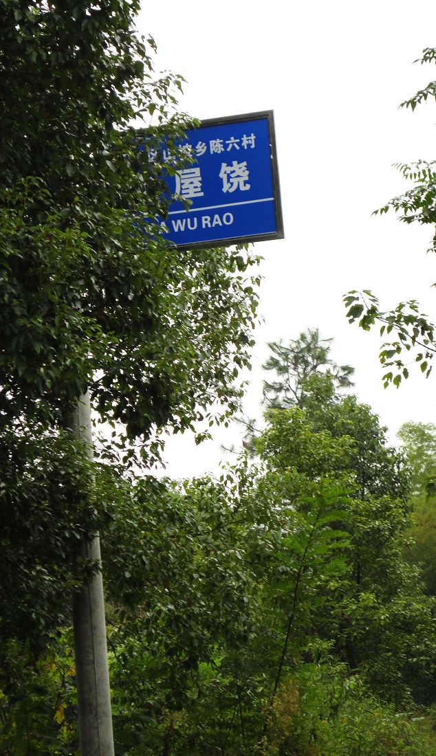 neo_img_dsc04712.jpg