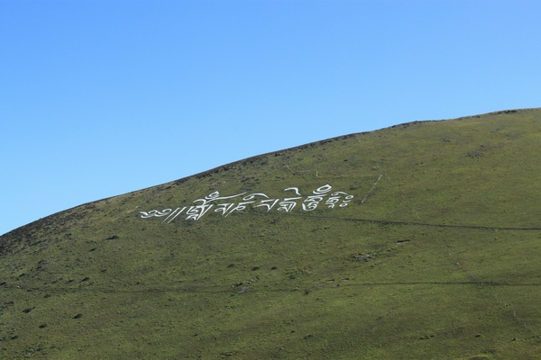 2011825916λ֮- 201.jpg