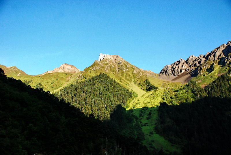 dsc_0803.jpg