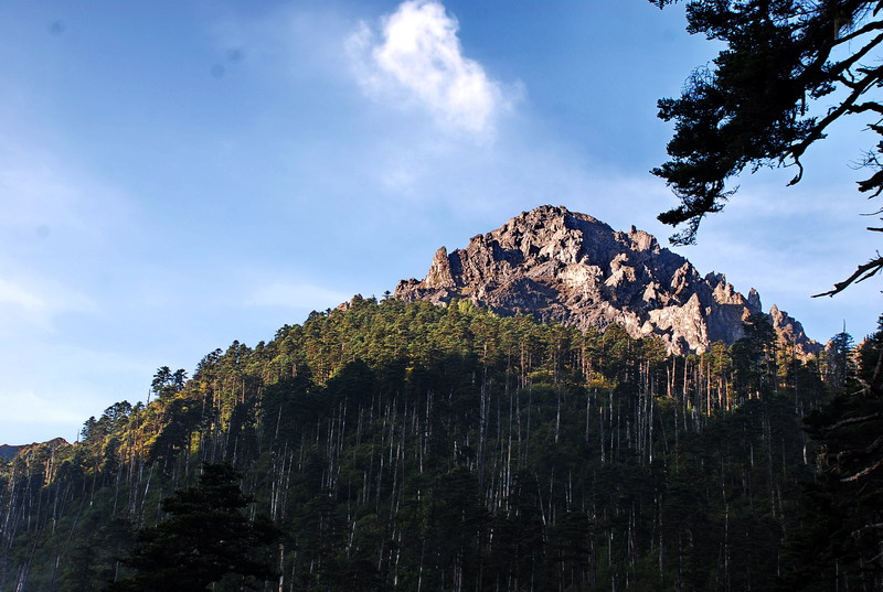 dsc_0812.jpg