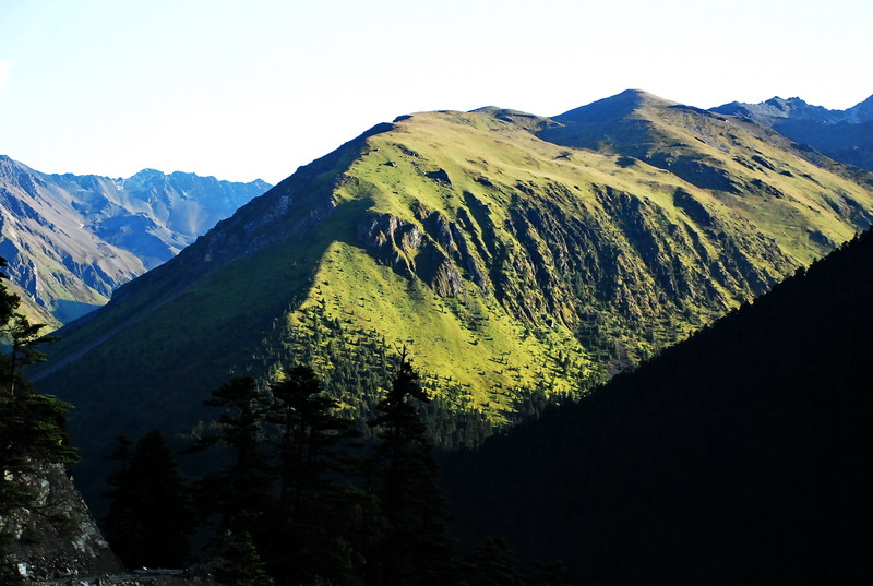 dsc_0824.jpg