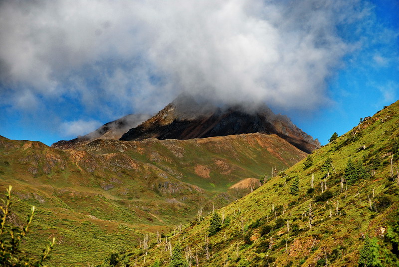 dsc_0843.jpg