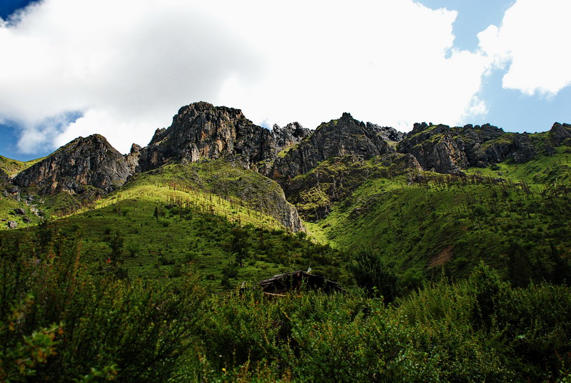 dsc_0070.jpg