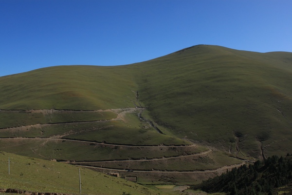 2011825916λ֮- 204.jpg